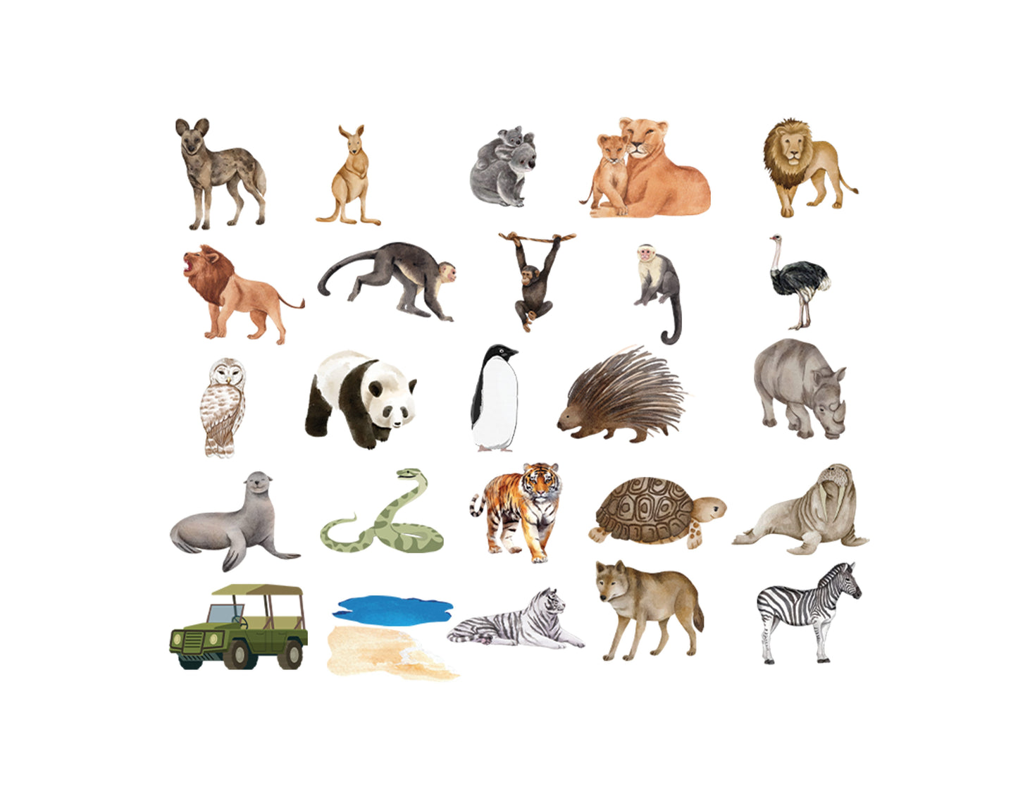 Zoo Safari Animal Alpha