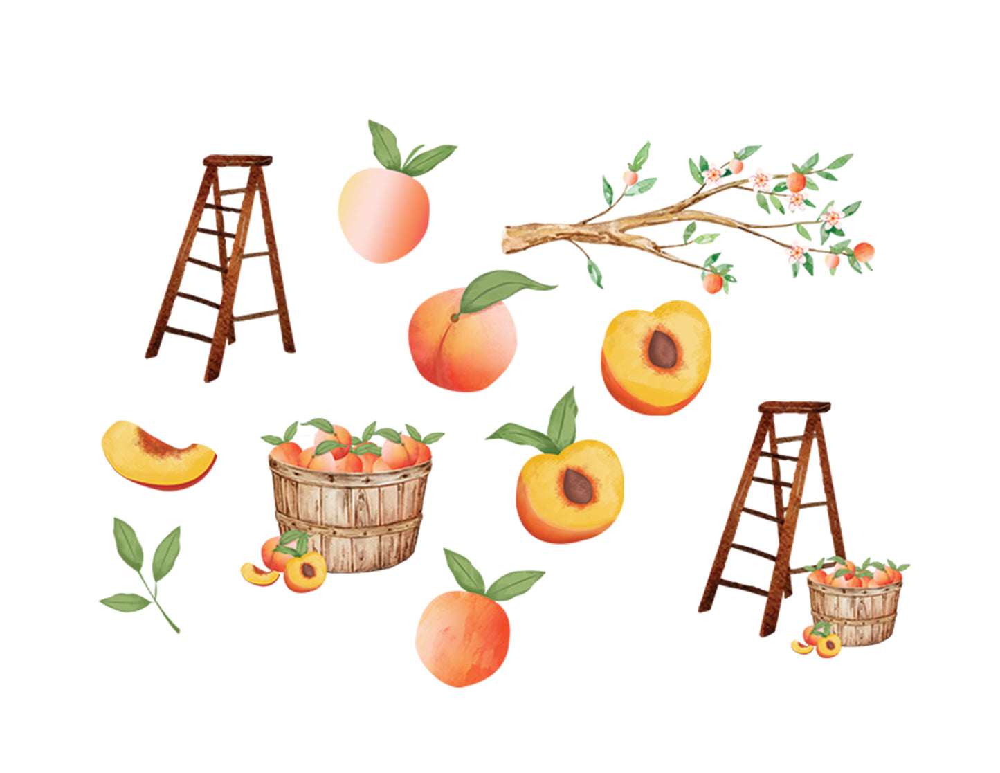 Fresh Picked Peach Alpha